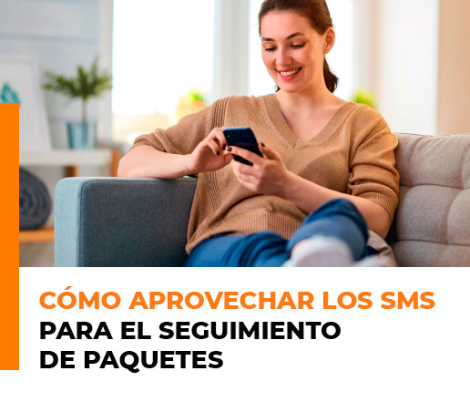 SMS Marketing para empresas de transporte y logística - Contenido de la guía